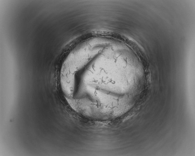 X0000111840870200908131417