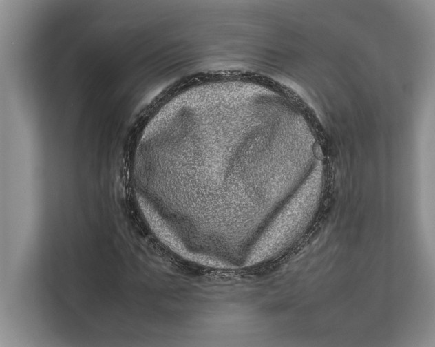 X0000111840871200908131417