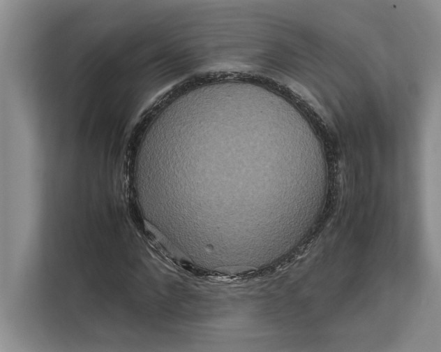 X0000111840872200908131417