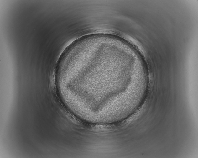 X0000111840875200908131417