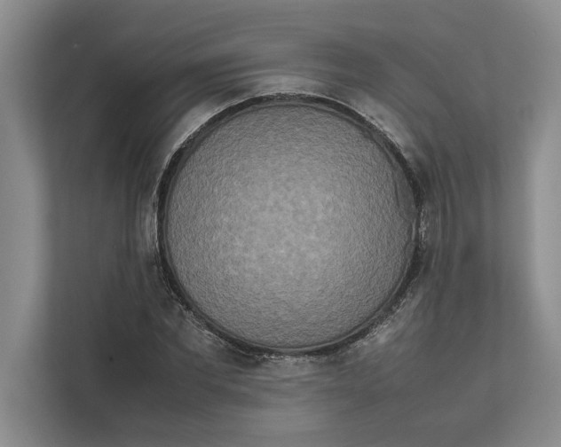 X0000111840877200908131417