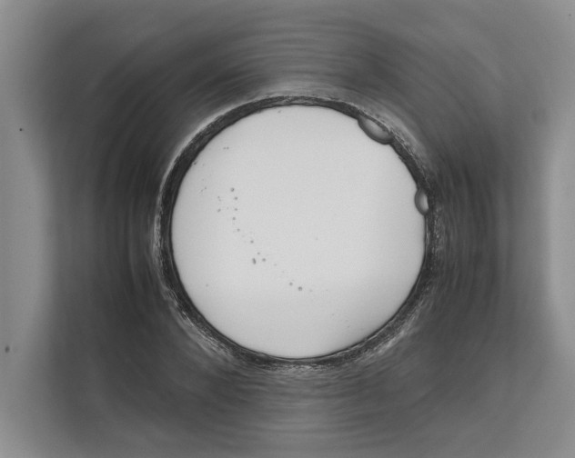 X0000111840880200908131416