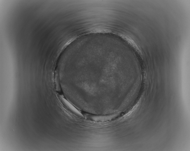 X0000111840881200908131416