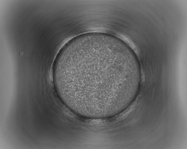 X0000111840883200908131416