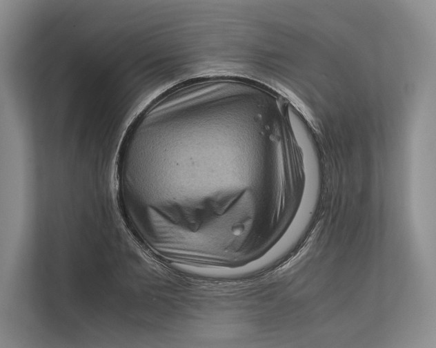 X0000111840885200908131416