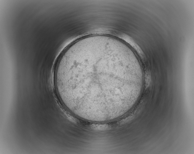 X0000111840886200908131416