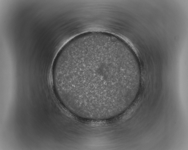 X0000111840887200908131416