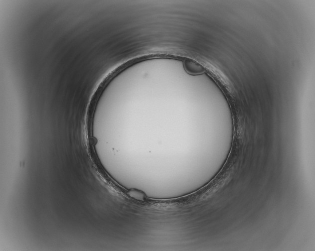 X0000111840888200908131416