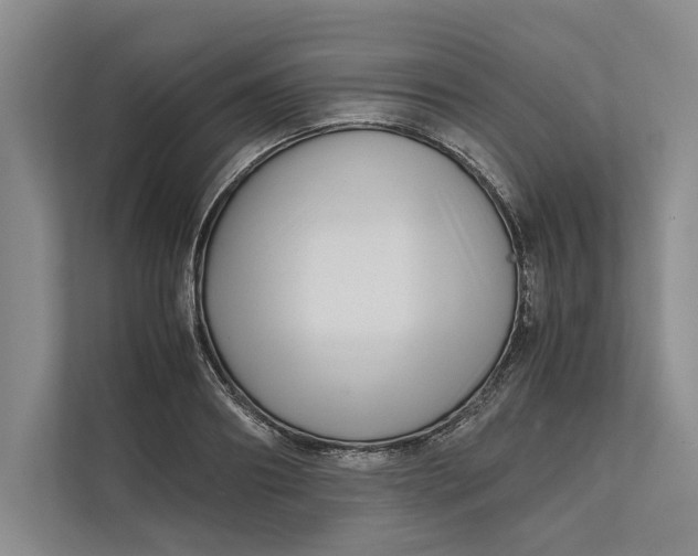 X0000111840890200908131416