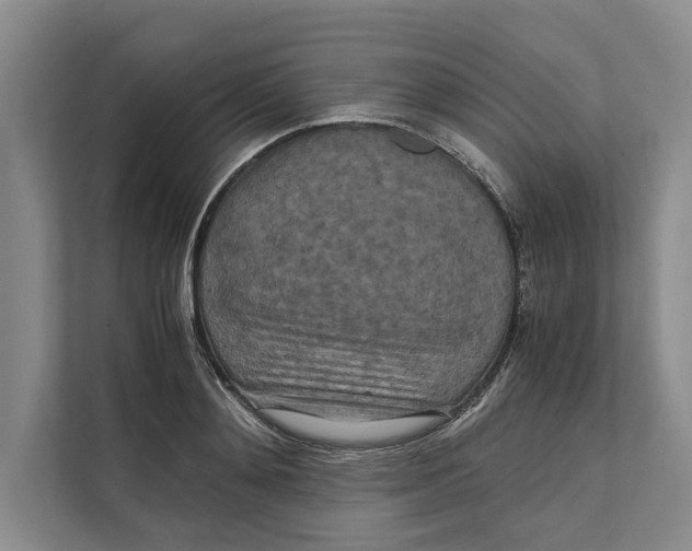 X0000111840892200908131416