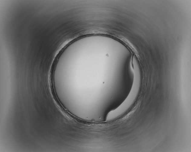 X0000111840893200908131416