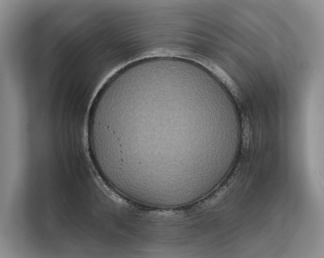 X0000111840896200908131416