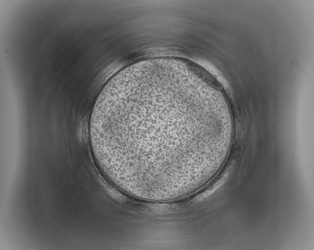 X0000111840897200908131416