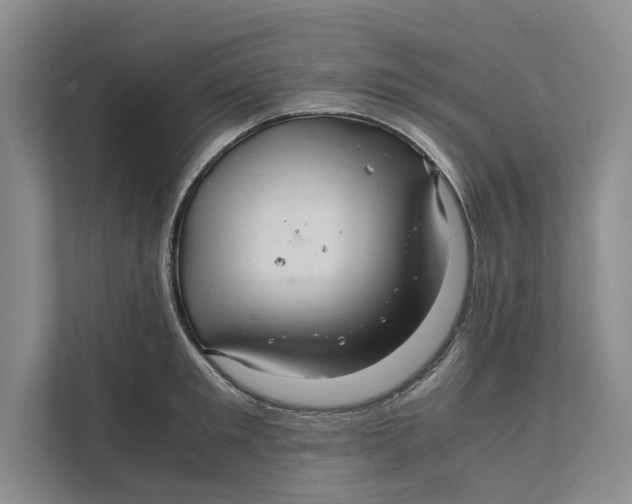 X0000111840901200908131416