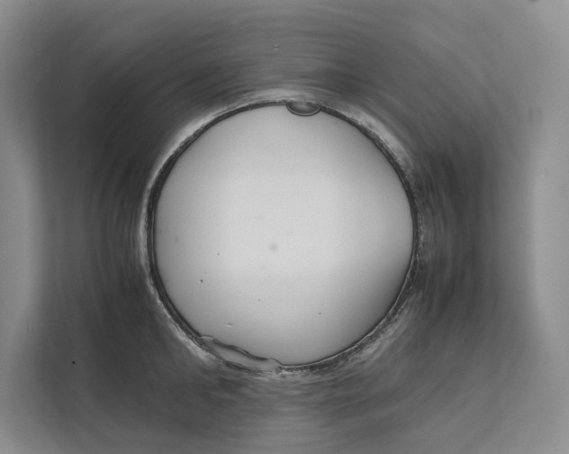 X0000111840902200908131416