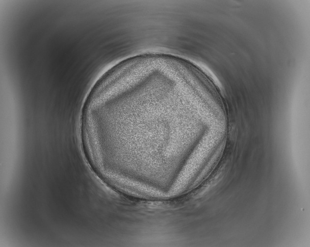 X0000111840903200908131416