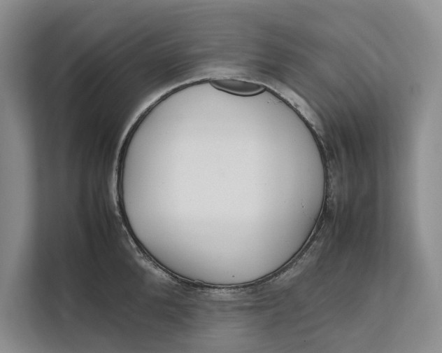 X0000111840904200908131416