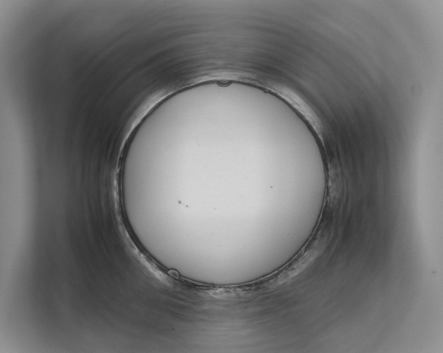 X0000111840906200908131416