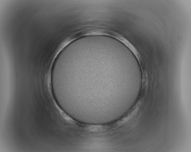 X0000111840909200908131416