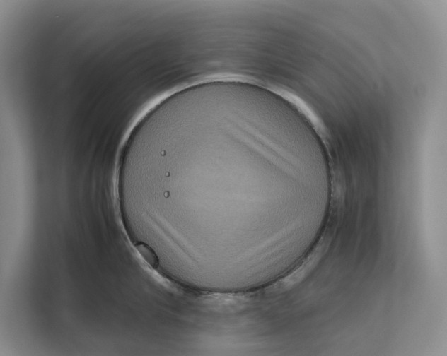 X0000111840910200908131416