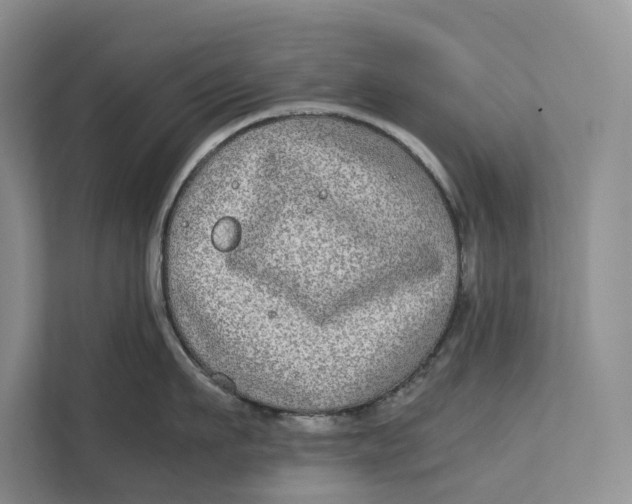 X0000111840911200908131416