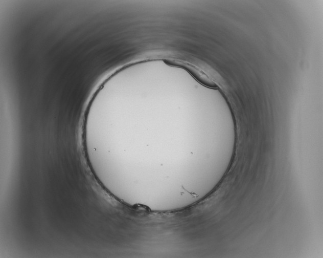 X0000111840912200908131416