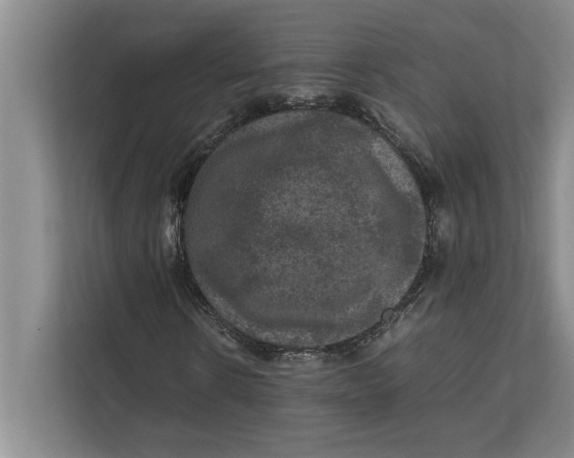 X0000111840914200908131415