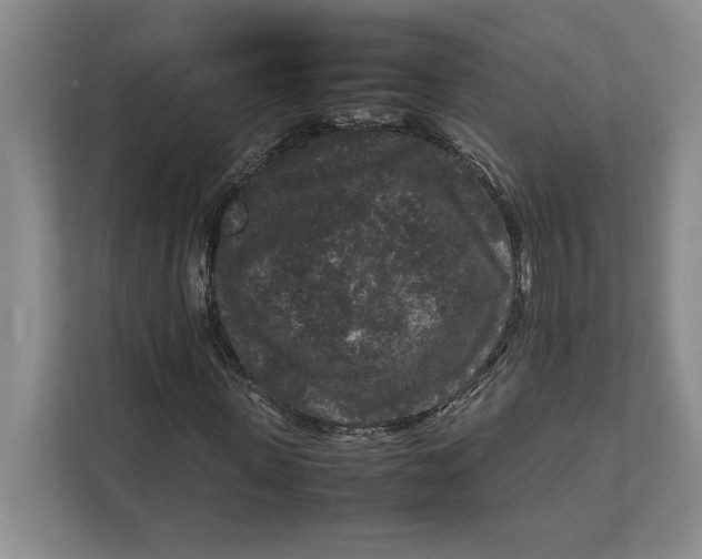 X0000111840915200908131415