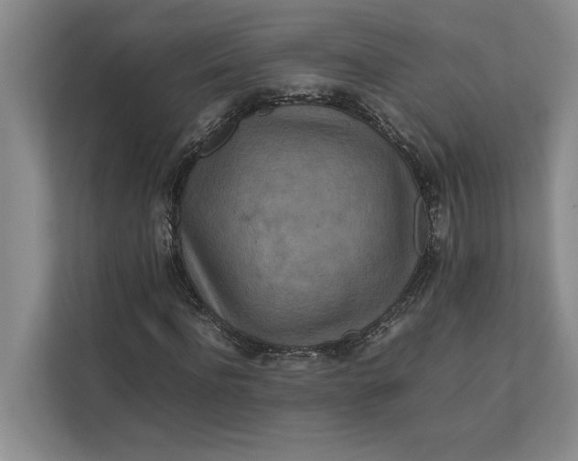 X0000111840916200908131415