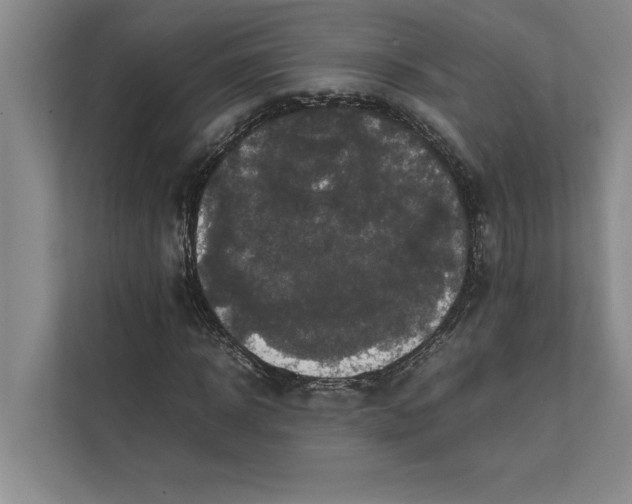 X0000111840918200908131415