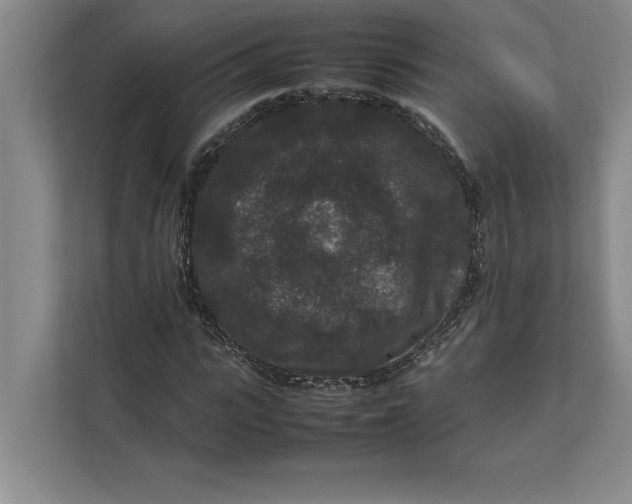 X0000111840919200908131416