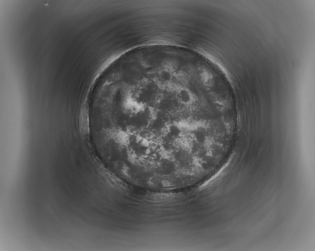 X0000111840925200908131416