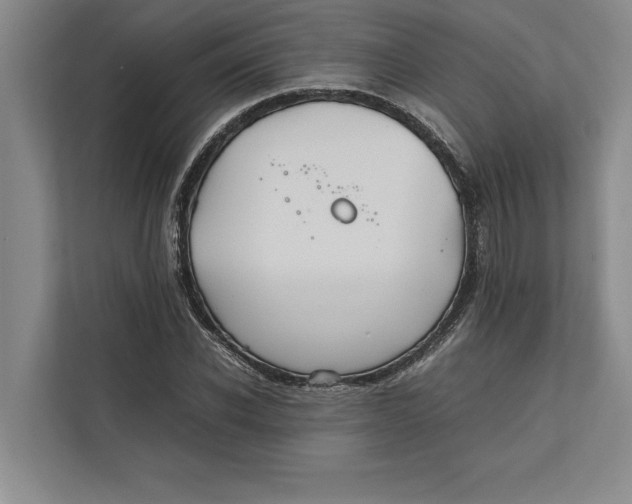 X0000111840926200908131416