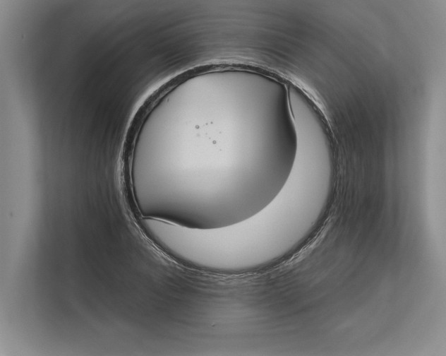 X0000111840928200908131416