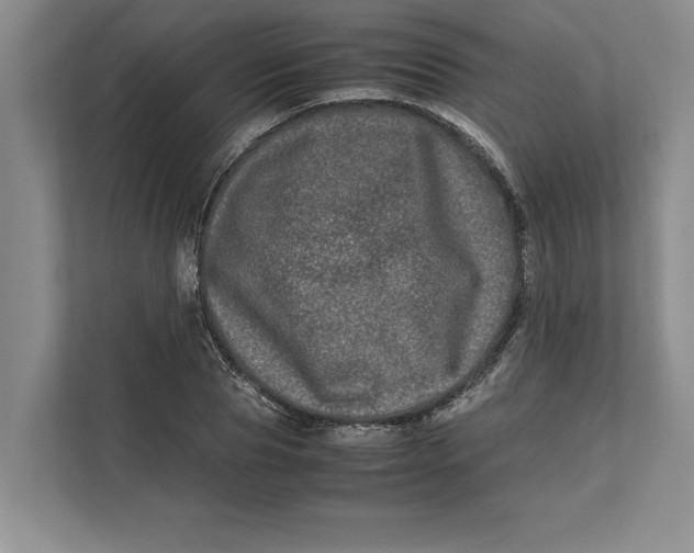 X0000111840929200908131416