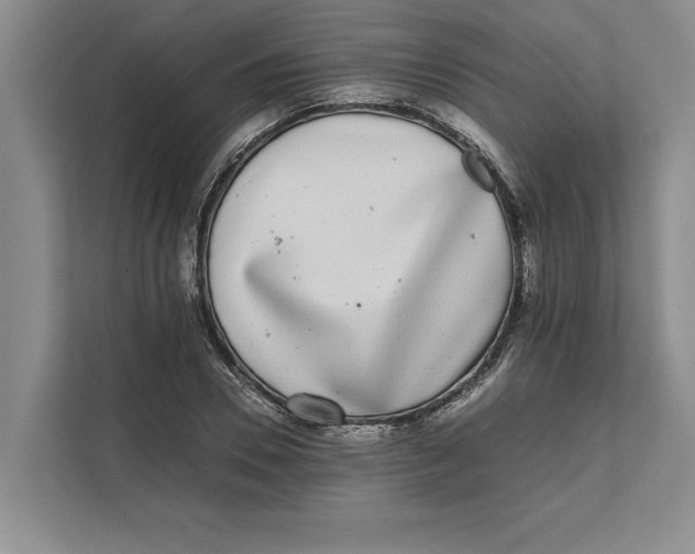 X0000111840930200908131416