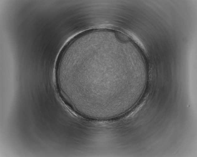 X0000111840932200908131416