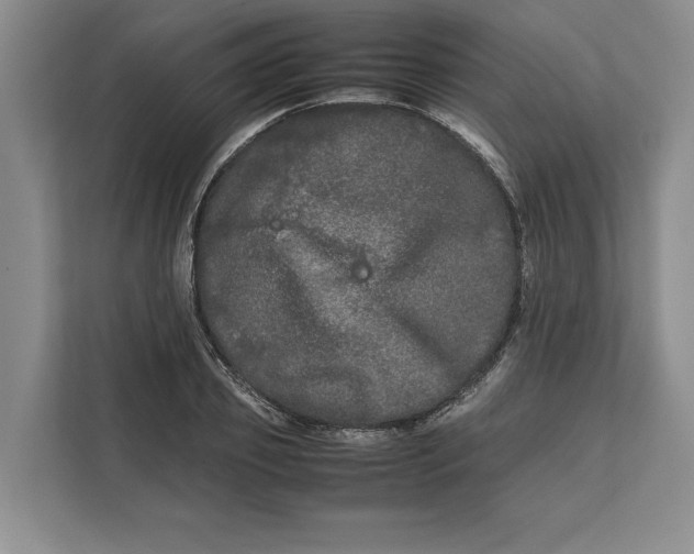 X0000111840933200908131416