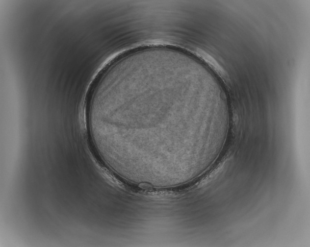 X0000111840934200908131416