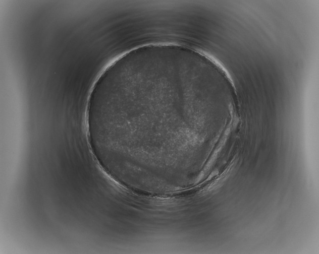 X0000111840935200908131416