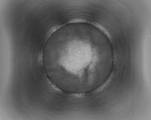 X0000111840937200908131416