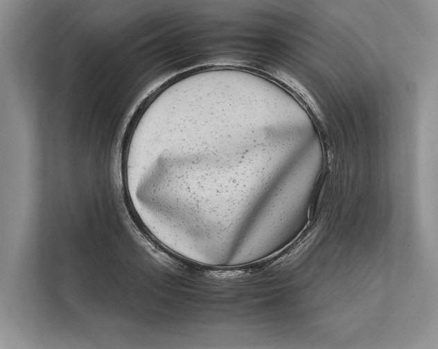 X0000111840939200908131416