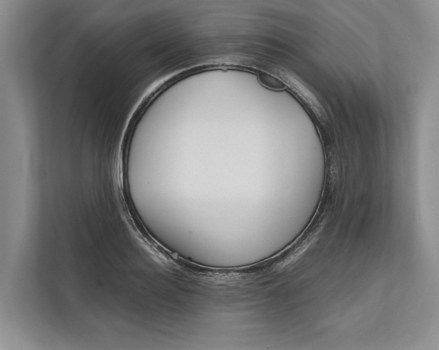 X0000111840940200908131416