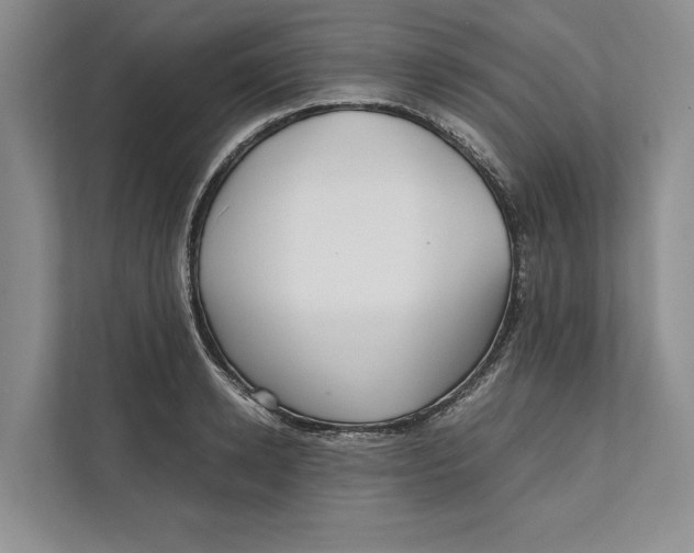 X0000111840942200908131416