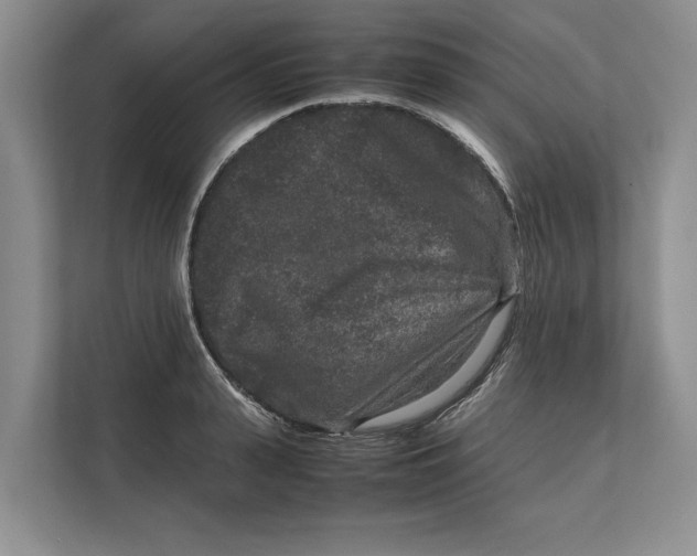 X0000111840943200908131416