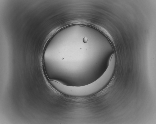 X0000111840946200908131416