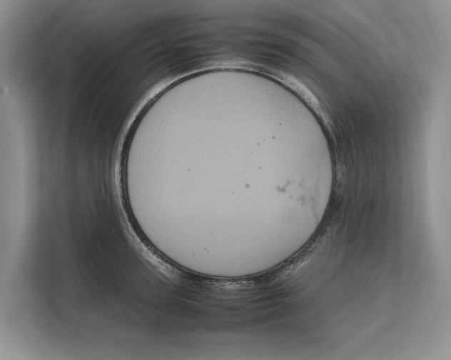 X0000111840947200908131416