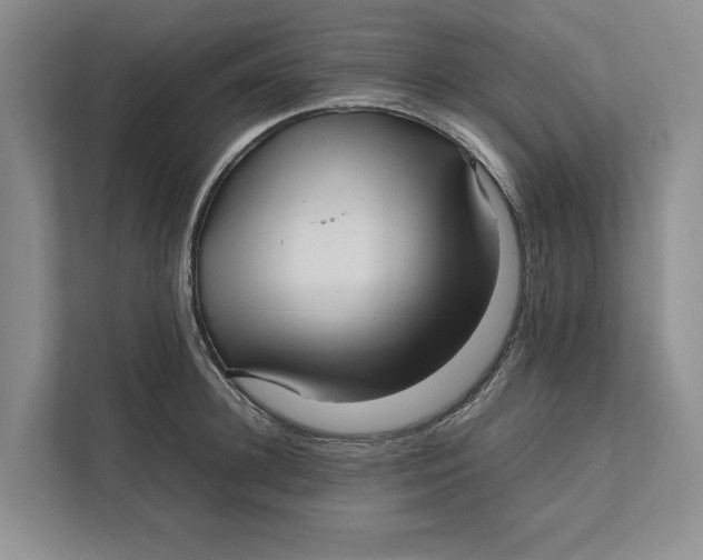 X0000111840948200908131416