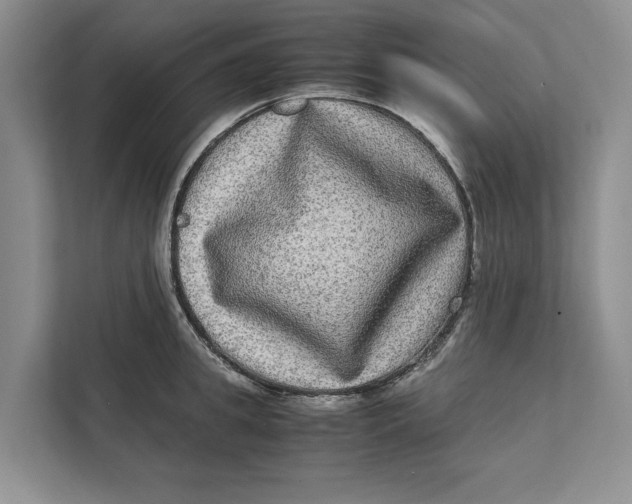 X0000111840949200908131416