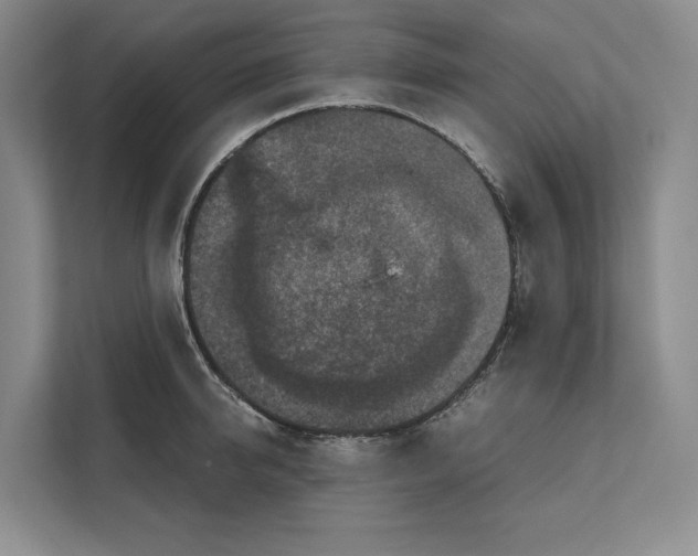 X0000111840950200908131416